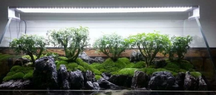 溪流缸制作方法