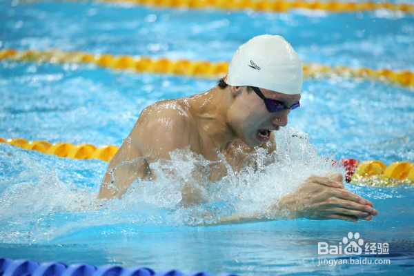 游泳腿上的动作怎么做