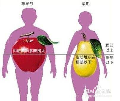 脂肪是如何形成的