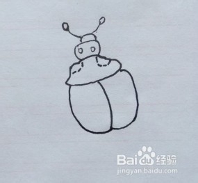 瓢虫怎么画？