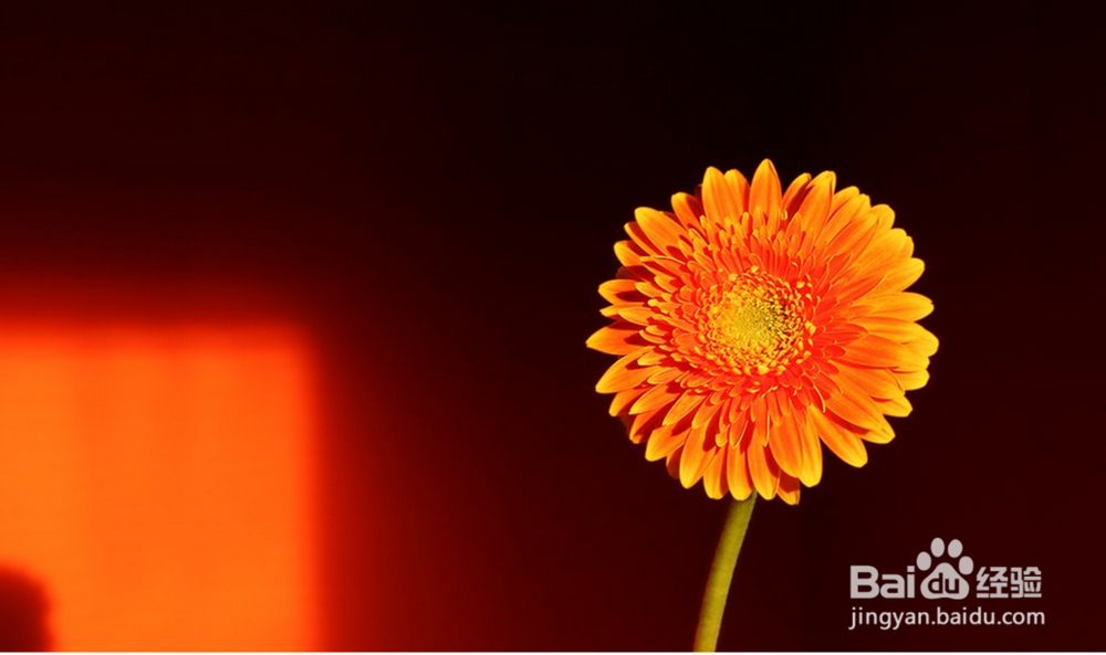 如何从人体表面发现病症并且对症下药