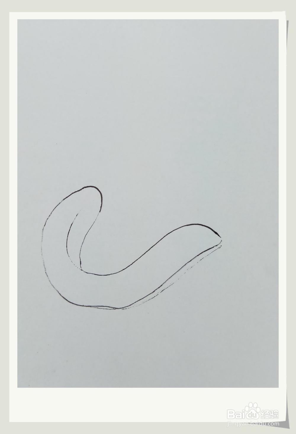 怎样画简笔画“水蛭”?