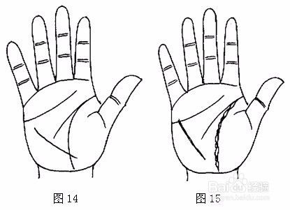 如何从掌纹判断健康,教你对在家健康了如指掌