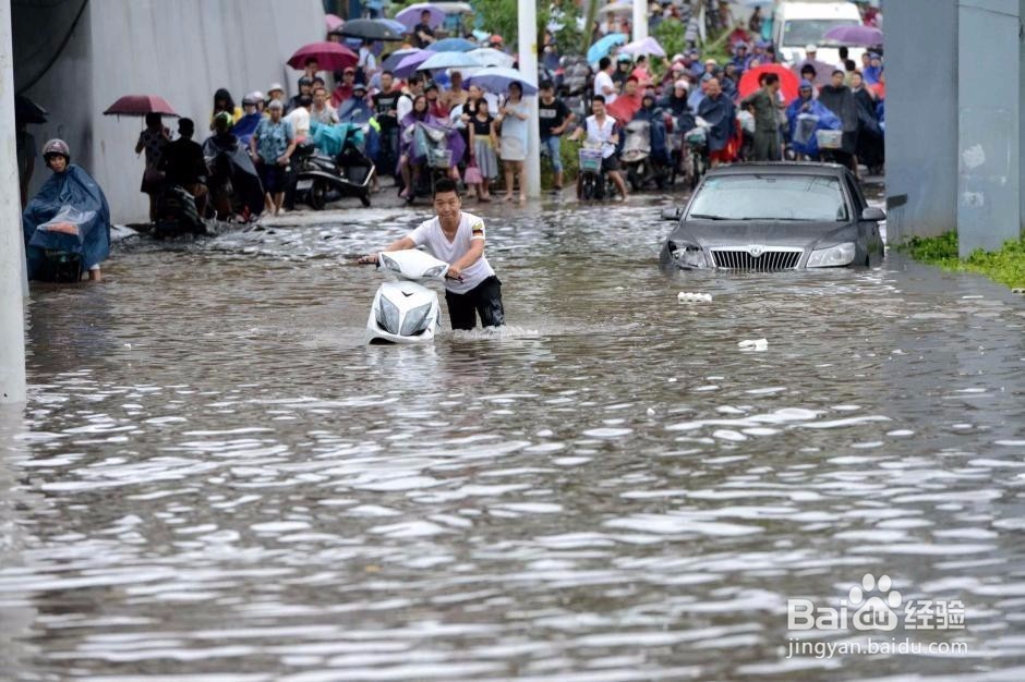 台风来了怎么办
