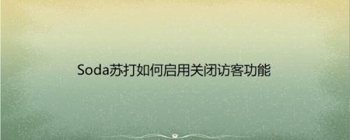 Soda苏打如何启用关闭访客功能