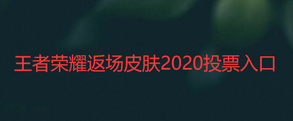 王者荣耀返场皮肤2020投票入口