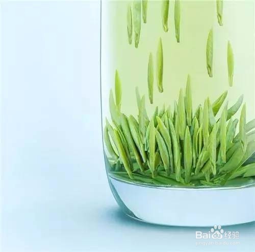 话春讲解茶的十种禁忌味道