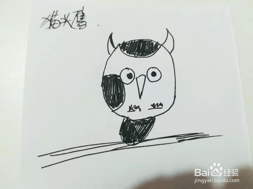 卡通猫头鹰简笔画怎么画呢