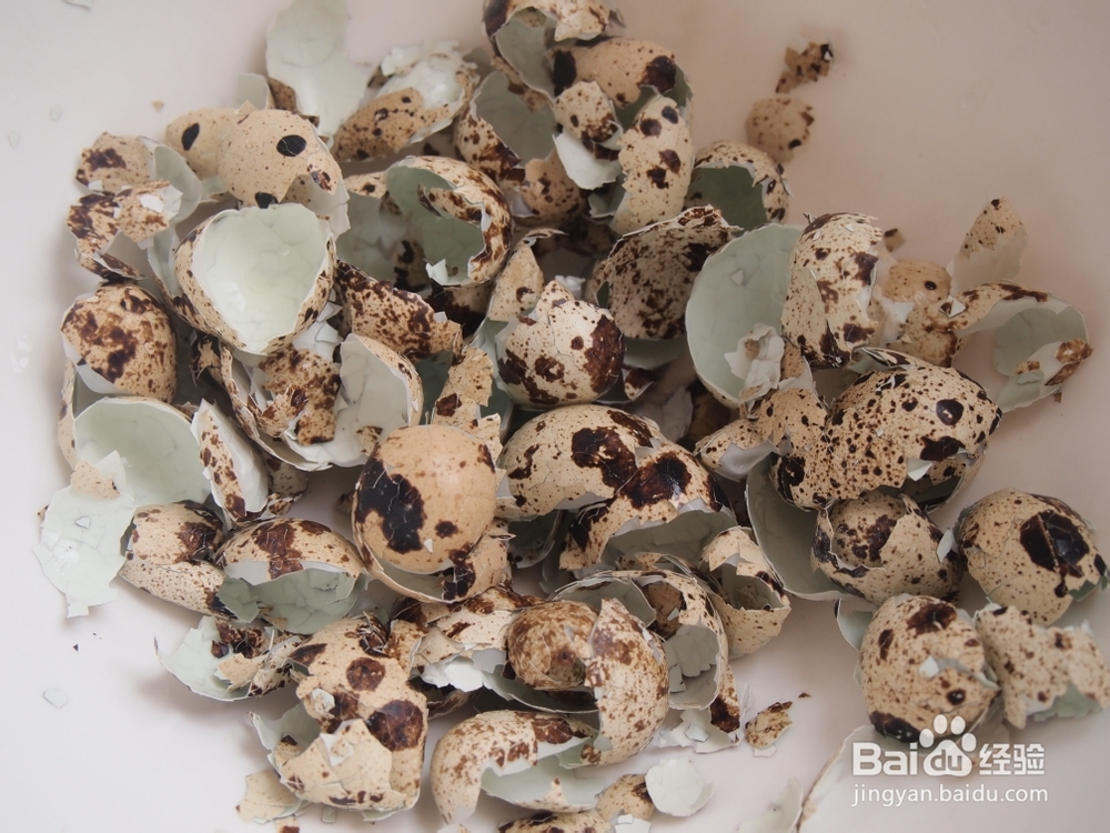 就该这样做鹌鹑蛋