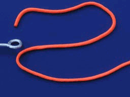 给绳子打结的方法(一)