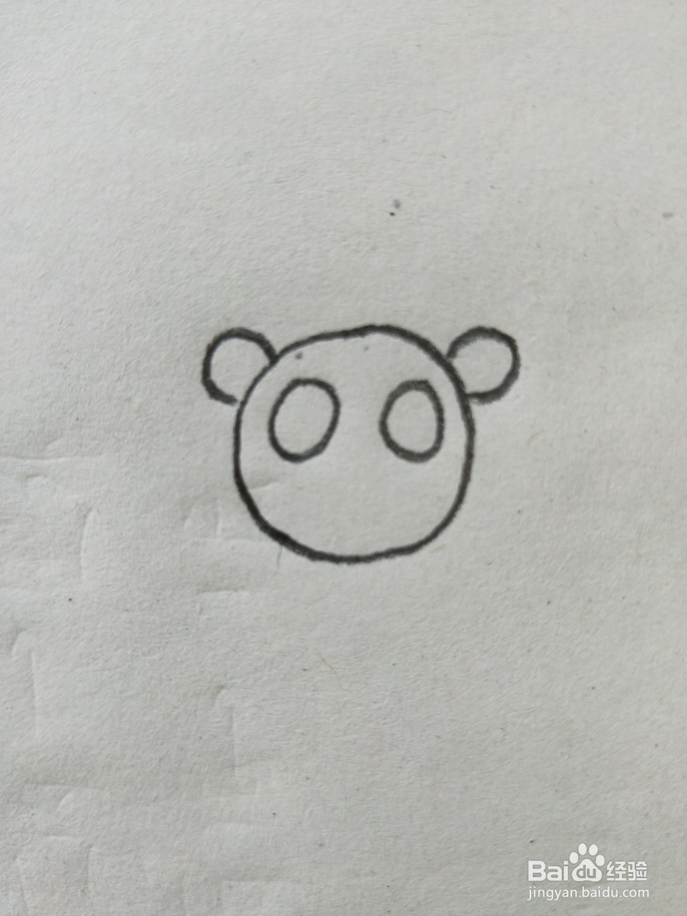 小熊猫简笔画教程