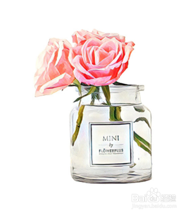 花加mini系列养护插花指南