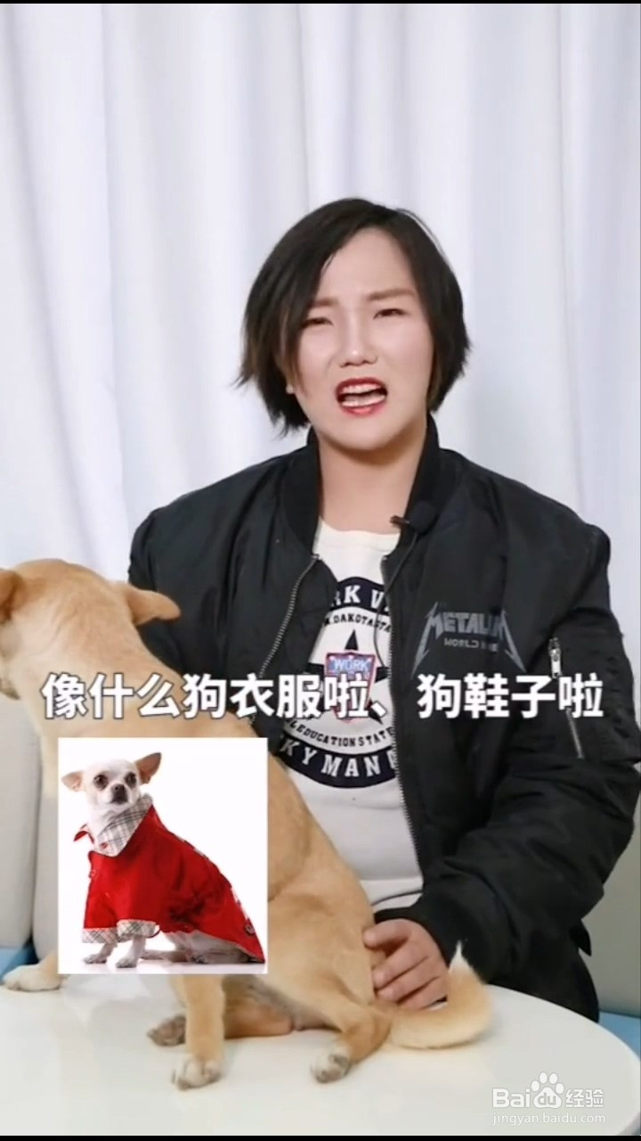 养狗如何更省钱