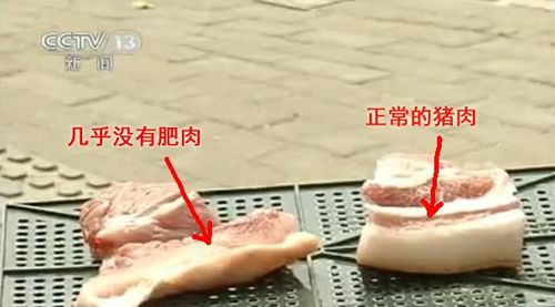 瘦肉精猪肉鉴别 图片图片
