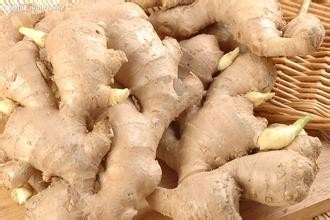 最易消化的几种食物