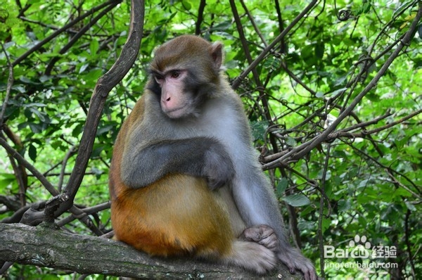 珠海到张家界旅游攻略