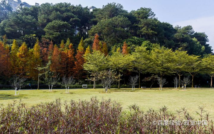 光明有什么好玩的景点