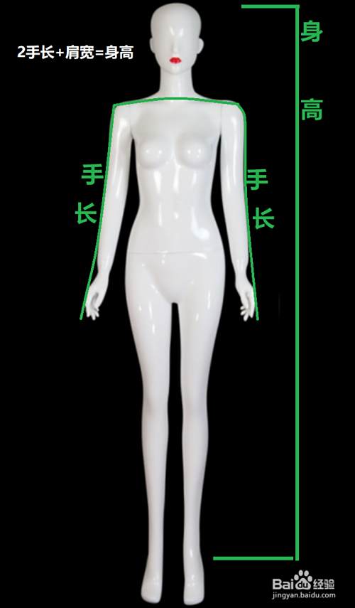 什么样的体型是女性标准的体型 百度经验