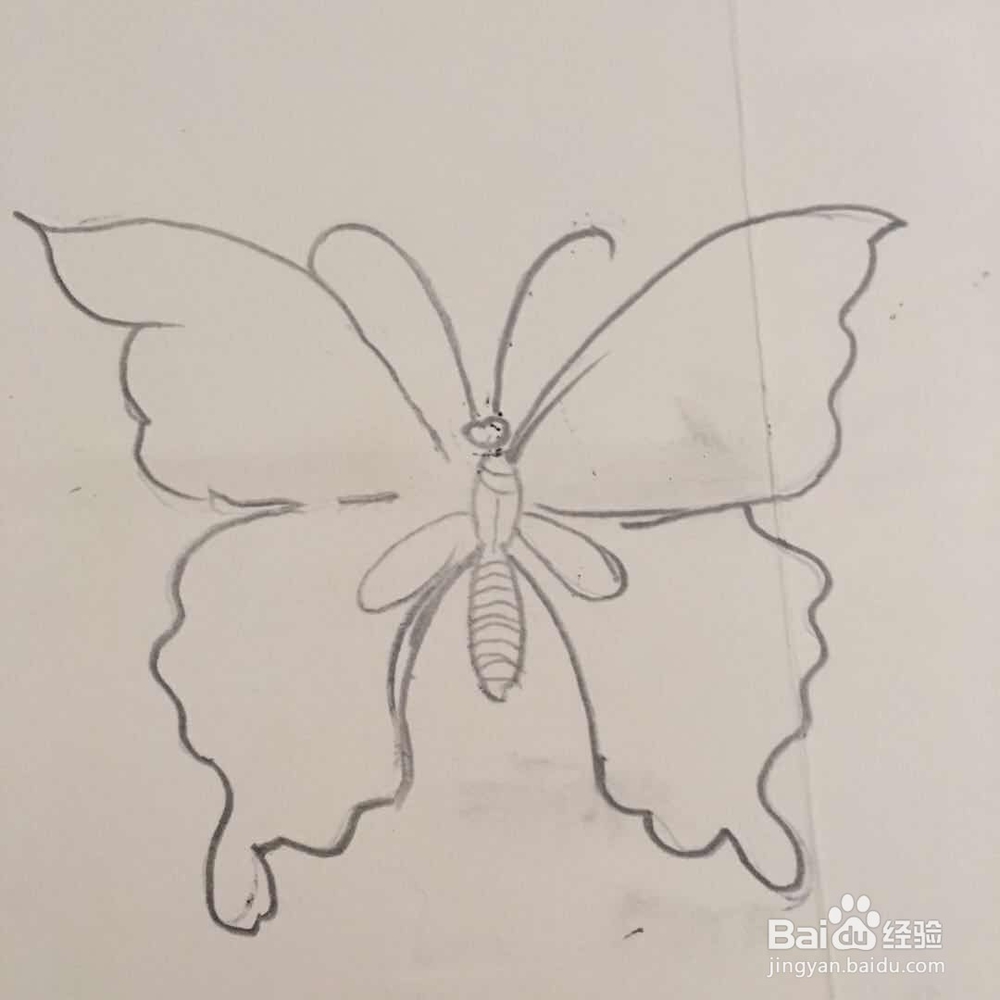 怎样画蝴蝶的简笔画