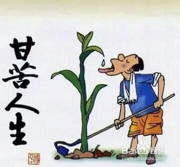 大学生创业小tips