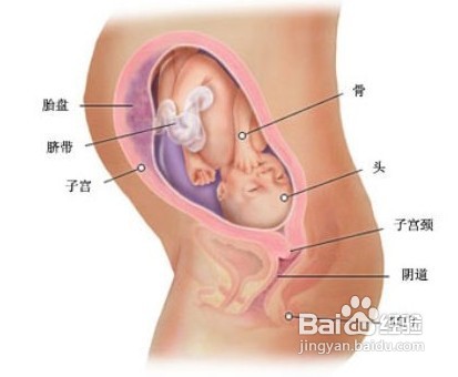 孕期安全该怎样去保障【原创】