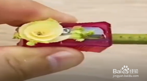 怎么学会野外游玩小技巧