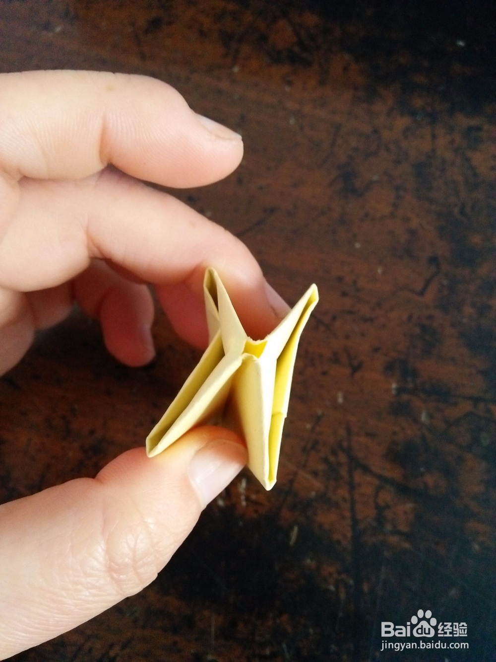 迷人的郁金香怎么折