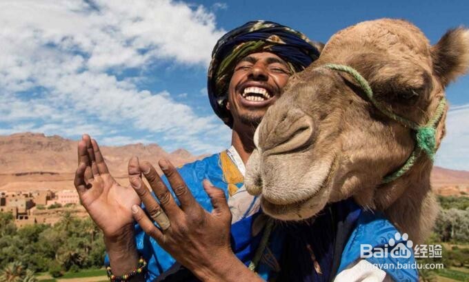 如果想去撒哈拉沙漠，需要准备什么呢？