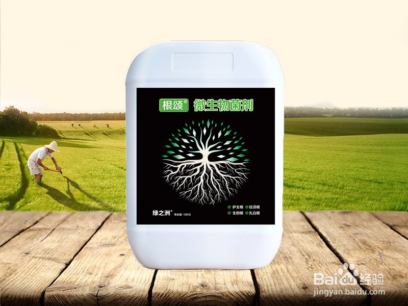 预防圆椒茎基腐病