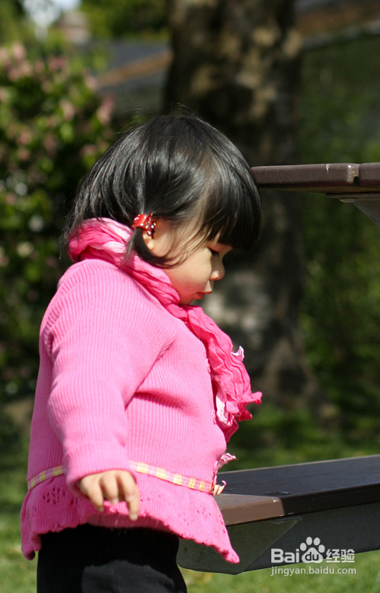 菲比带你看加国--空中列车&樱花（图）