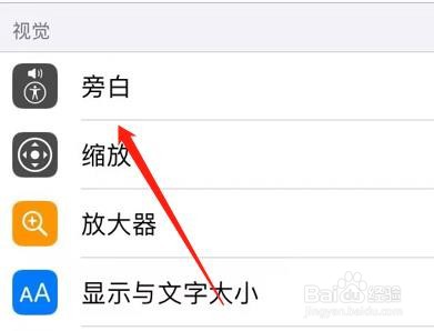 怎么查看iPhone旁白中的未知命令