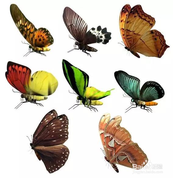 PS：合成小女孩憧憬的童话世界