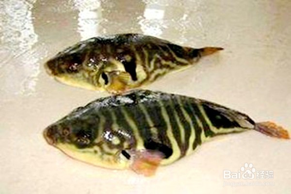 日常饮食中,要谨慎使用哪些食物