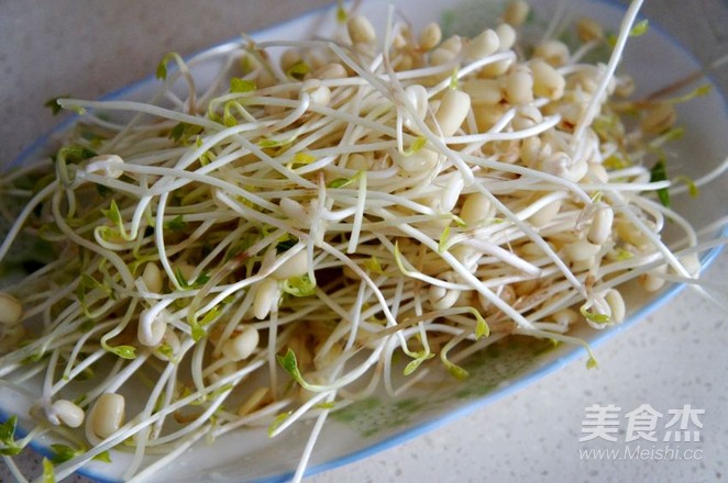 绿豆芽馅水饺