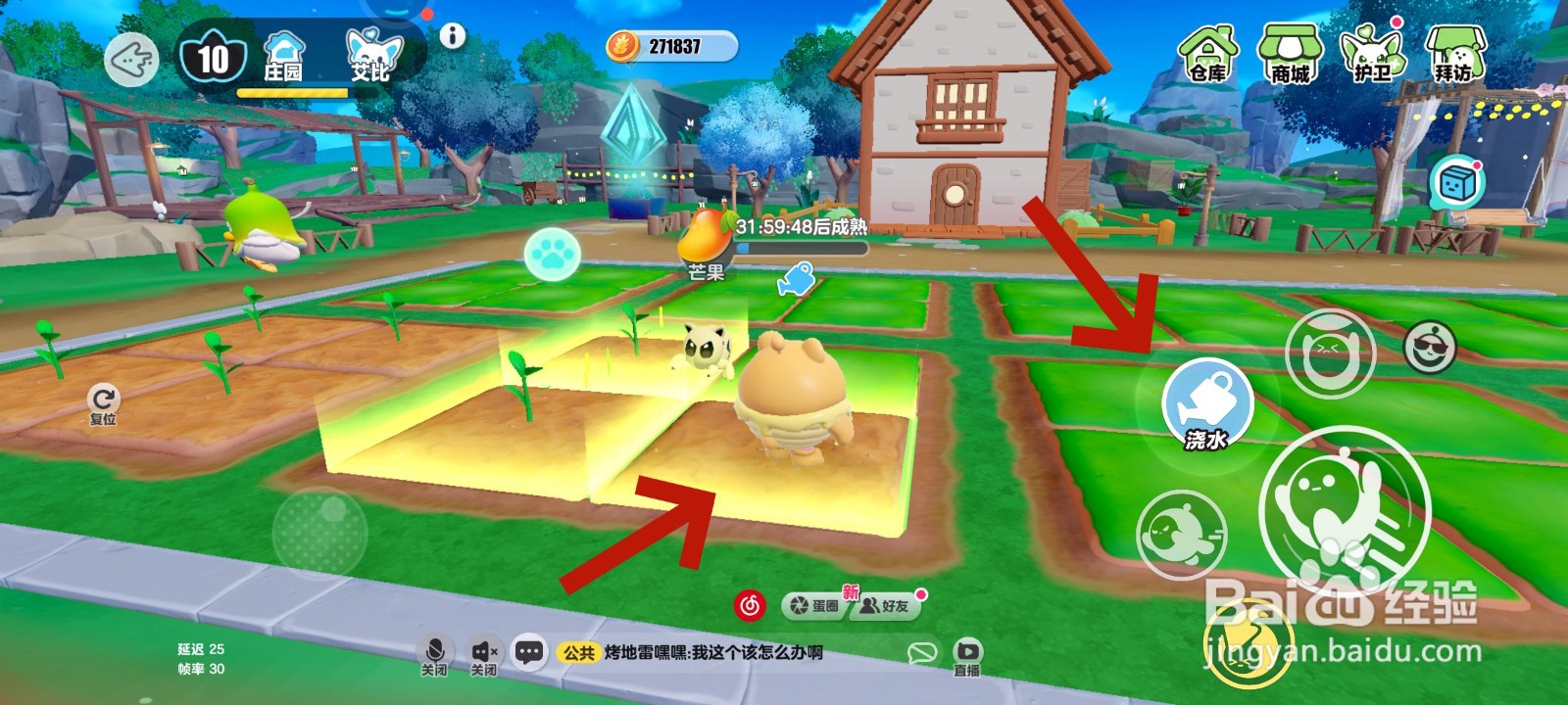 蛋仔派对游戏中给芒果浇水的教程