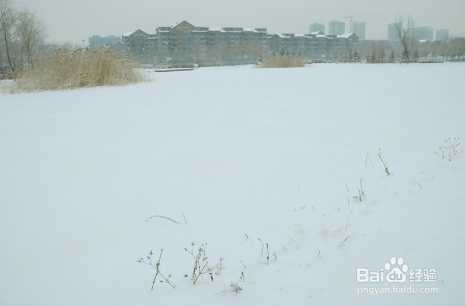 小学生修改习作怎么指导