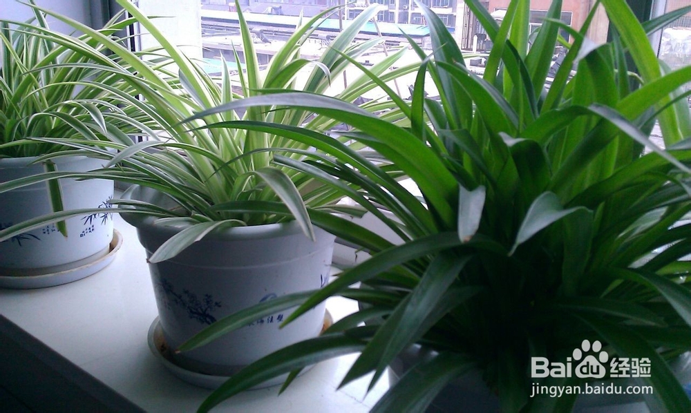 盘点那些致癌的有害气体，教您怎样有效除甲醛