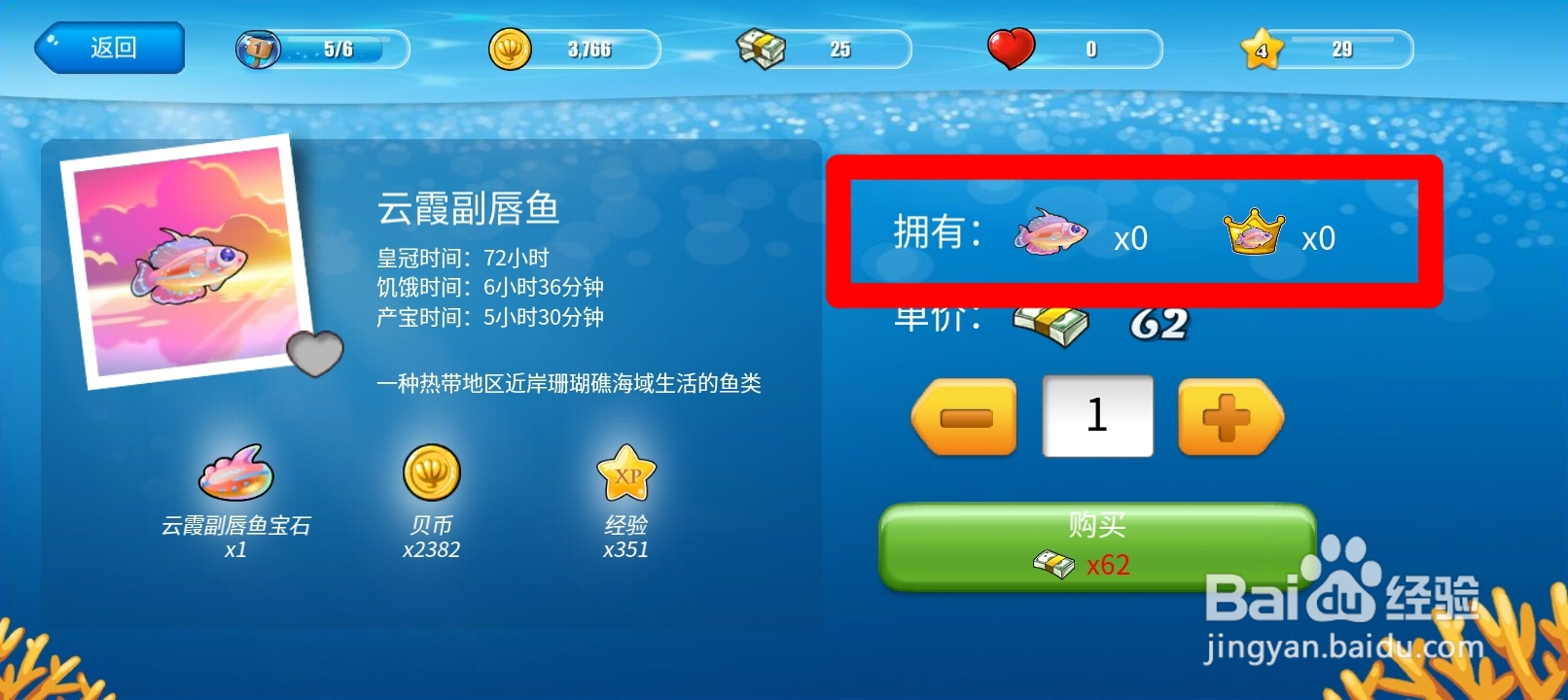 开心水族箱如何查看云霞副唇鱼的拥有
