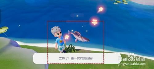 心动小镇在哪里才能钓到茴鱼