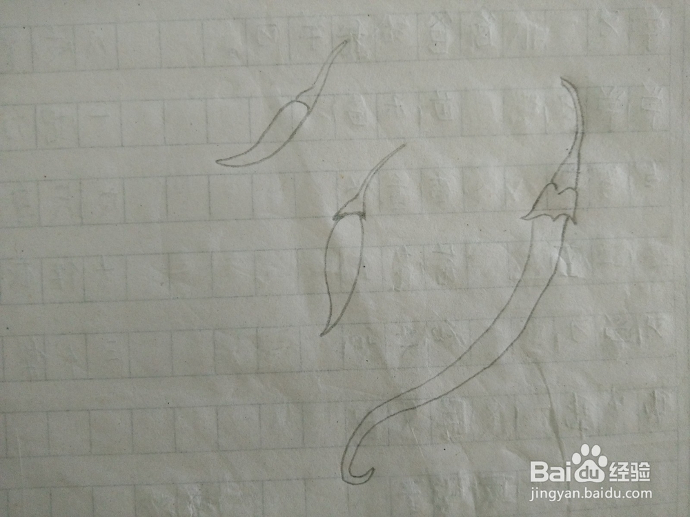 怎样画出我们爱吃的辣椒