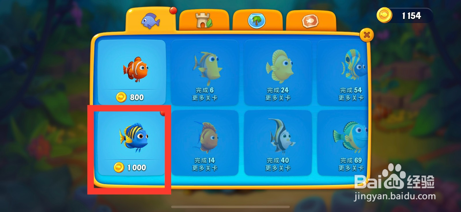 梦幻水族箱如何购买六间雀鲷