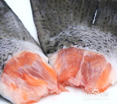 三文鱼各部位切片图解