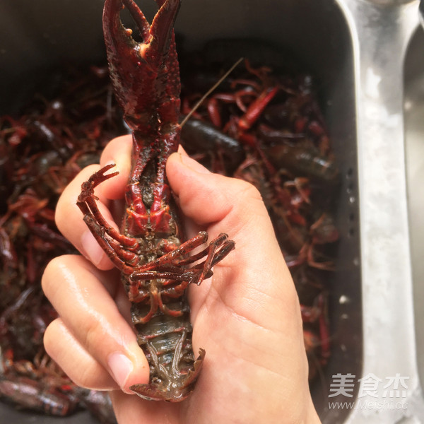 香辣小龙虾（油焖大虾）