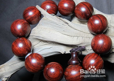 小叶紫檀怎么养