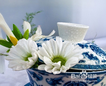 哪些情况的人适合饮用菊花茶