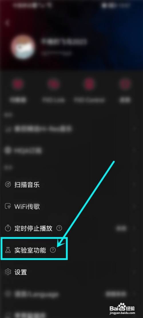 飞傲音乐app参数均衡器功能如何开启
