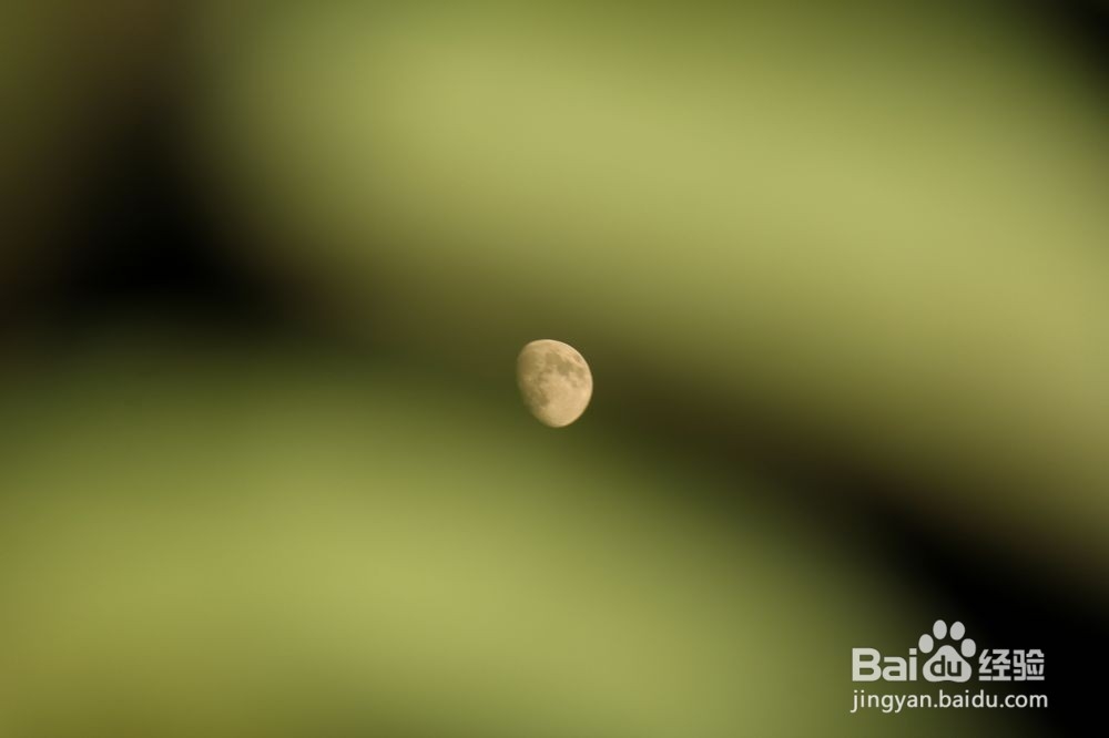 如何给晚上的月亮加上一层背景（摄月教学）