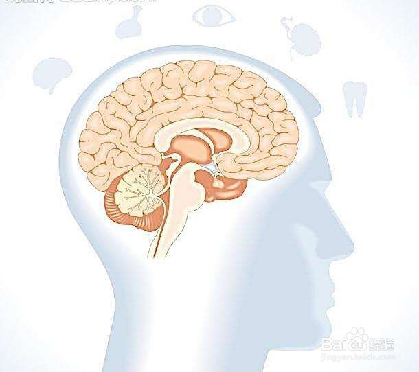 增强记忆力有什么方法