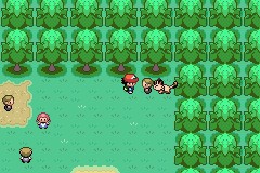 口袋妖怪圣灰攻略图片5