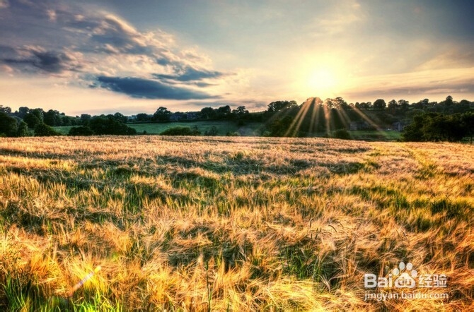 考研党：如何为保研做一些准备